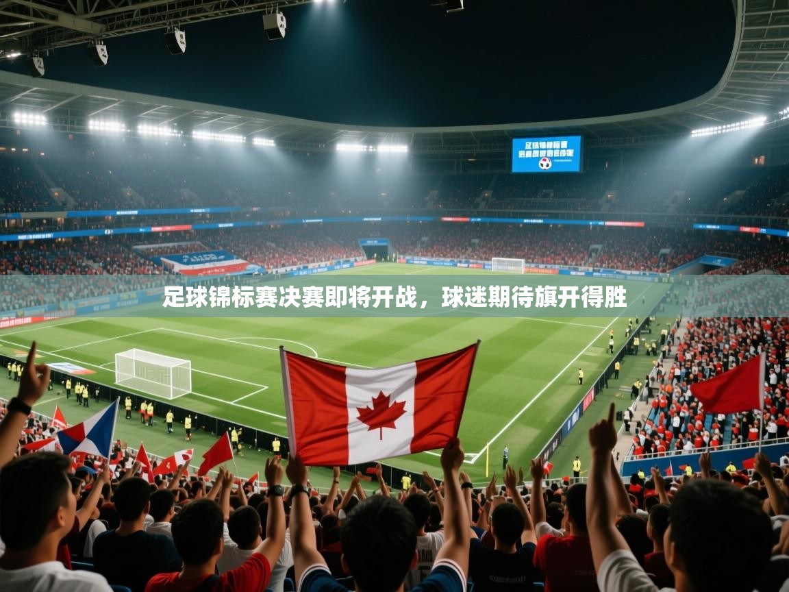 足球锦标赛决赛即将开战，球迷期待旗开得胜  第1张